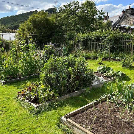 Y Felin Bed And Breakfast And Smallholding Caersws Exterior foto