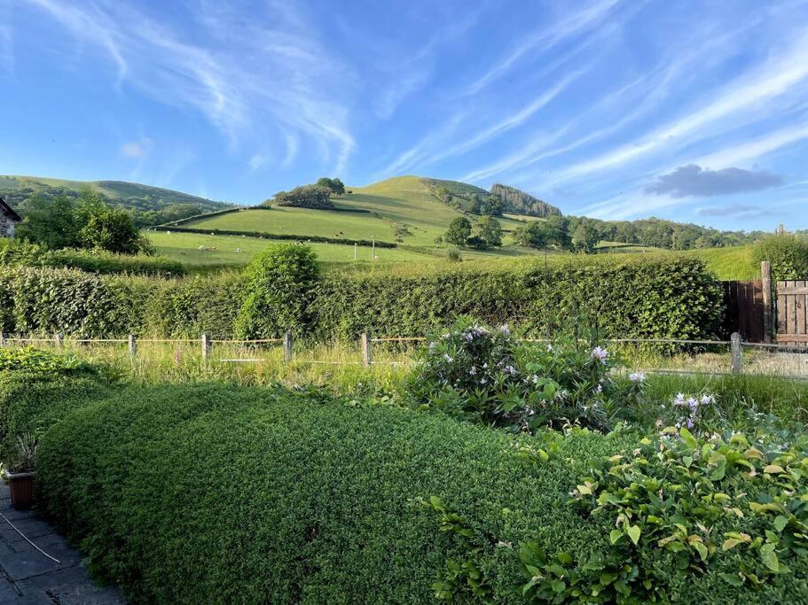 Y Felin Bed And Breakfast And Smallholding Caersws Exterior foto