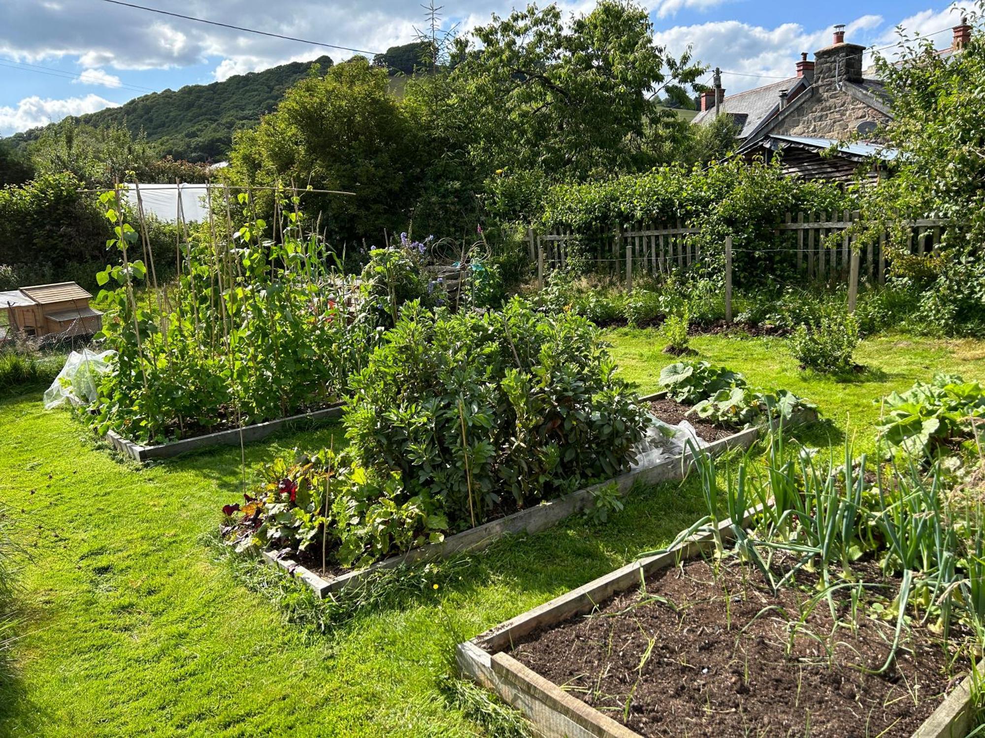 Y Felin Bed And Breakfast And Smallholding Caersws Exterior foto